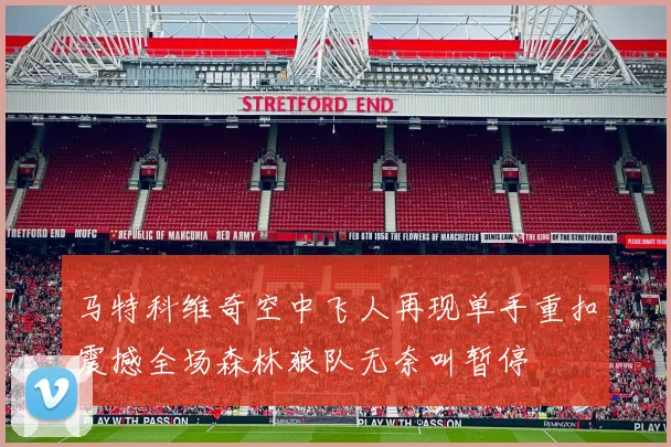 马特科维奇空中飞人再现单手重扣震撼全场森林狼队无奈叫暂停